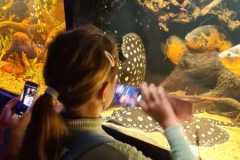 IMG-20250929-WA0008