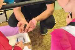 IMG-20250929-WA0009
