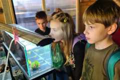 IMG-20250929-WA0010