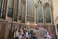 IMG-20250626-WA0045