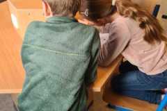 IMG-20250129-WA0038