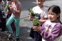IMG-20250423-WA0002