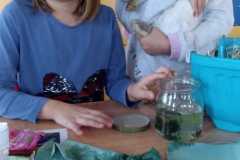 IMG-20251010-WA0122