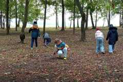 IMG-20251011-WA0009