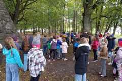 IMG-20251011-WA0010