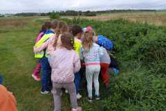 IMG-20250918-WA0019
