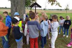 IMG-20250918-WA0032