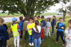 IMG-20250918-WA0036