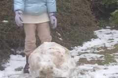 IMG-20250120-WA0017