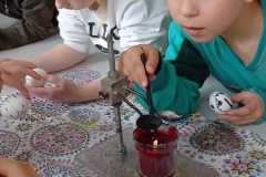 IMG-20250409-WA0009