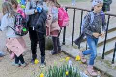 IMG-20250322-WA0009