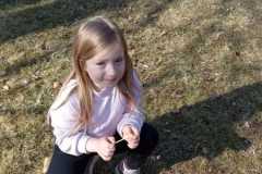 IMG-20250322-WA0012