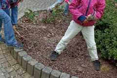 IMG-20250924-WA0006