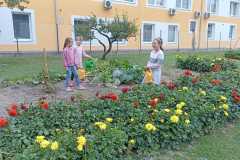 IMG-20250924-WA0008