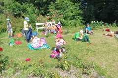 IMG-20250621-WA0078