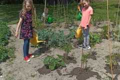 IMG-20250612-WA0020