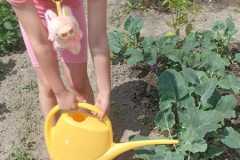 IMG-20250612-WA0023