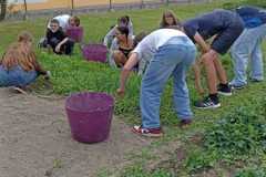 IMG-20250612-WA0025