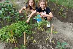 IMG-20250612-WA0028