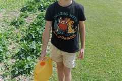 IMG-20250612-WA0029