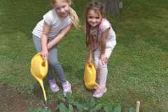 IMG-20250612-WA0031