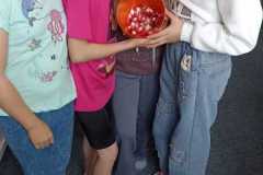 IMG-20250612-WA0032