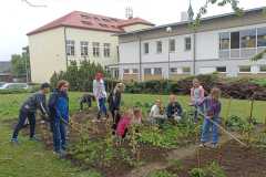 IMG-20250612-WA0035