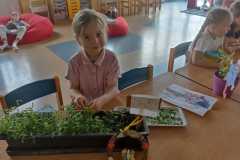 IMG-20250612-WA0036