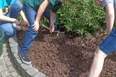 IMG-20250612-WA0037