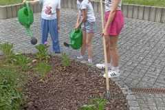 IMG-20250612-WA0040