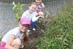 IMG-20250612-WA0042