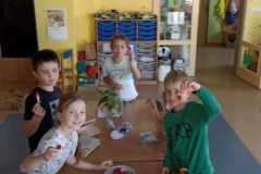 IMG-20250612-WA0045