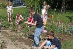 IMG-20250618-WA0023