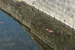 IMG-20250321-WA0000