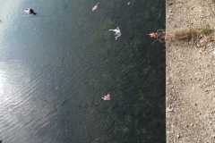 IMG-20250321-WA0004