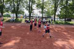 IMG-20250514-WA0012