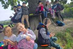 IMG-20250610-WA0040
