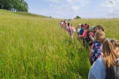 IMG-20250610-WA0047