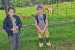 IMG-20250610-WA0054