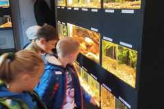 IMG-20250917-WA0005