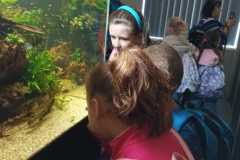 IMG-20250917-WA0006