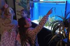 IMG-20250917-WA0007
