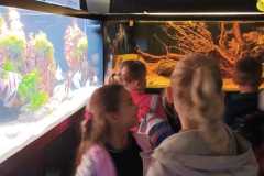 IMG-20250917-WA0008