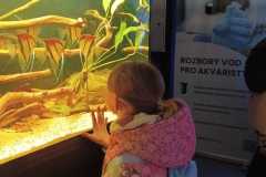 IMG-20250917-WA0009
