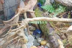 IMG-20250918-WA0000