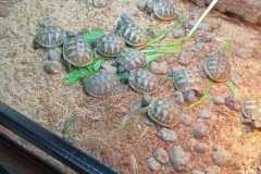 IMG-20250918-WA0001
