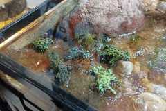 IMG-20250918-WA0002