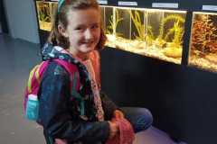 IMG-20250918-WA0005