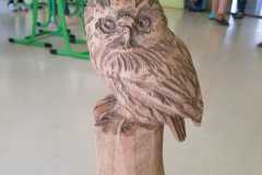 2024-Malování dřevěné sovy,sběr a příprava materiálu na dřevěné dekorace 2.B