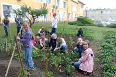 2025-Školní zahrádka